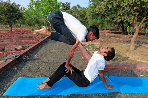 Agra: aula de yoga ao amanhecer com instrutor certificadoAgra: aula de ioga ao nascer do sol com instrutor certificado