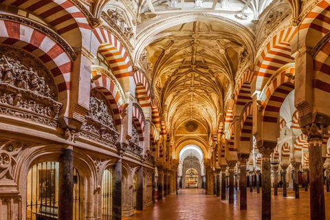 Cordoba: Your Tour of the Mosque-Cathedral with a Real French Guide Cordoba: Mosque–Cathedral guided tour in English