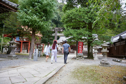 Osaka: Wandeltocht met gids naar Minoo waterval - 2,5uOsaka: 2,5 uur wandelen in Minoh