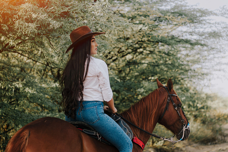 Nashville: Advanced Horseback Adventure With Picnic Stop 4-Hour Advanced Horseback Adventure With Picnic Stop