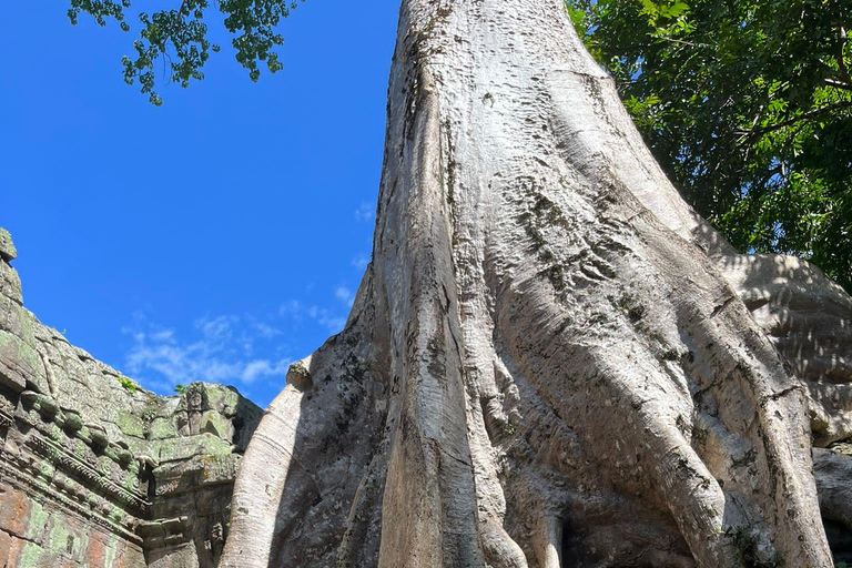 Gita di un giorno intero al tempio di Angkor Wat in Tuk-TukTour privato