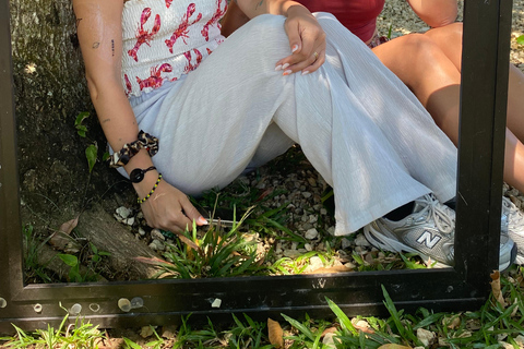 Montego Bay: maak je eigen Jamaicaanse souvenirs