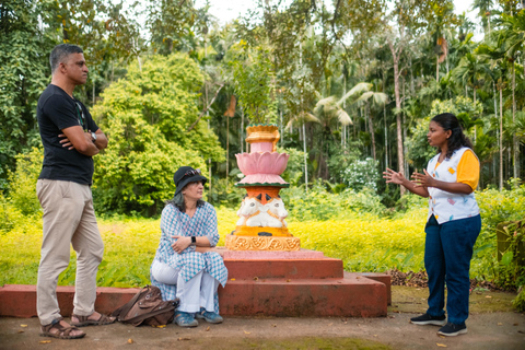 Norte de Goa: Aldeia de Mulgao e experiência de cultivo de cocos