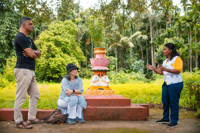 Nord de Goa : Village de Mulgao et culture de noix de coco