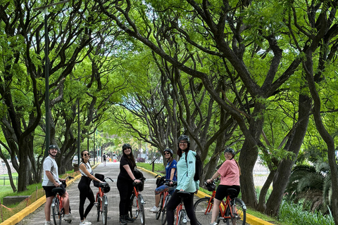 Bike + Boat Tour: Buenos Aires in a Day, North and South Bike + Navigation Tour: Buenos Aires is a day to the North and South (E-bike)
