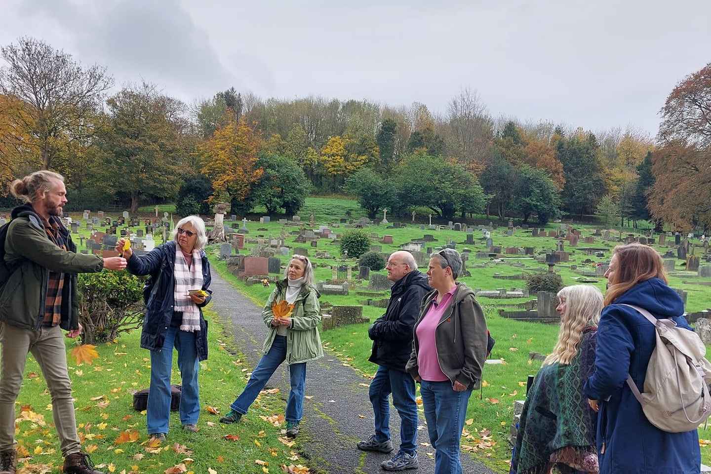 Eine Tour durch Glastonbury - Geleitet von den Bäumen