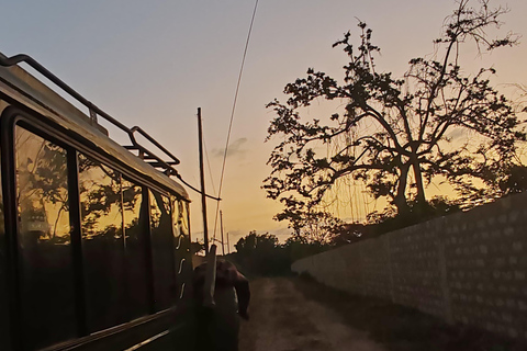 De Watamu: Safari de 2 dias no Parque Nacional Tsavo Este