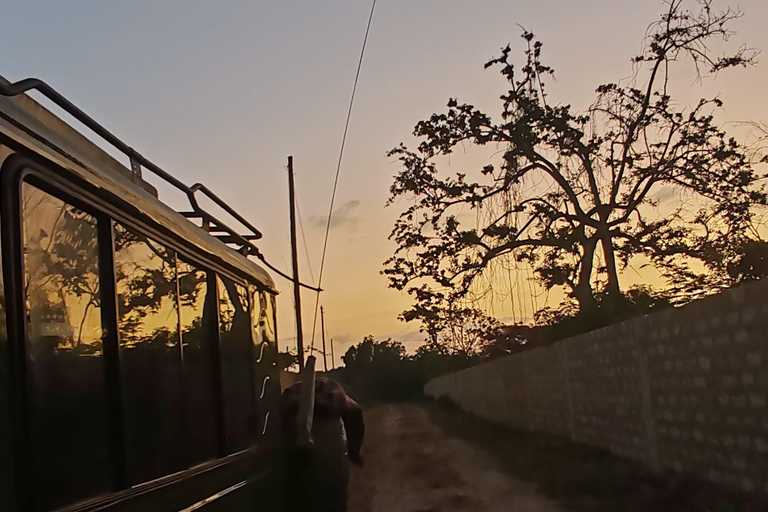 De Watamu: Safari de 2 dias no Parque Nacional Tsavo Este