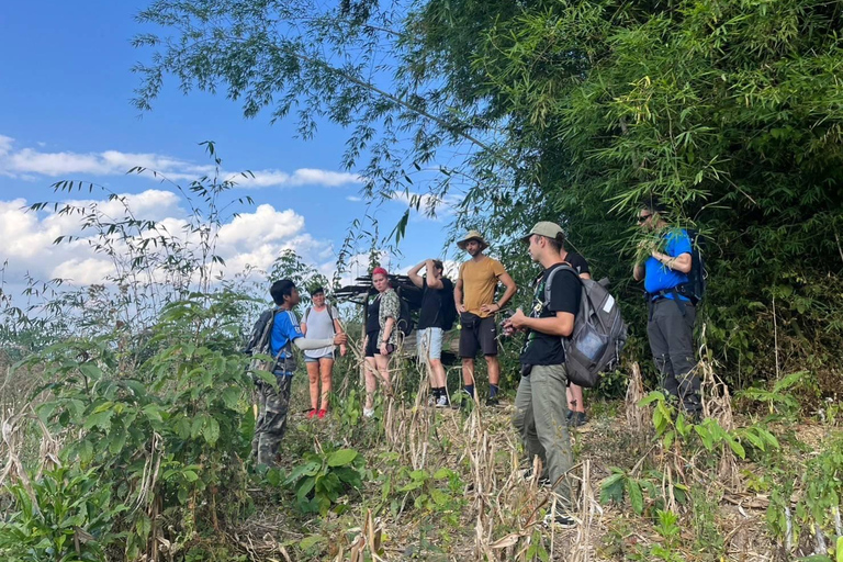 Chiang Rai: Jungle Adventure-Group Trekking & Bamboo Cooking