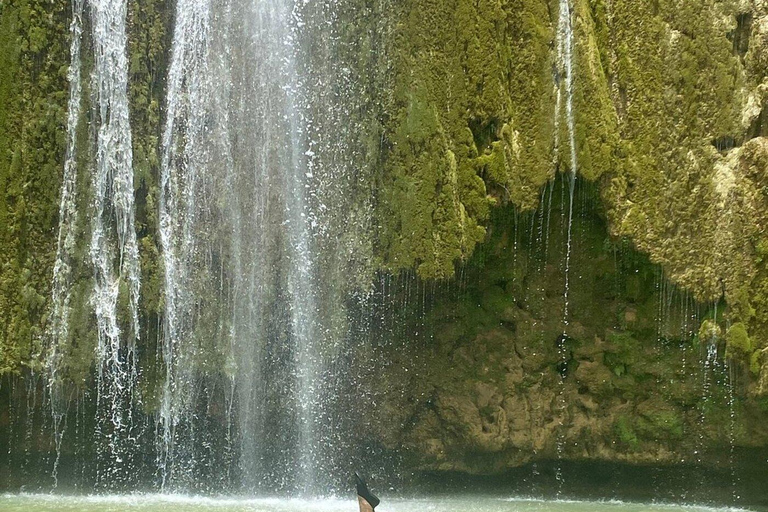 Punta Cana: El Limón Waterfall & Cayo Levantado Tour