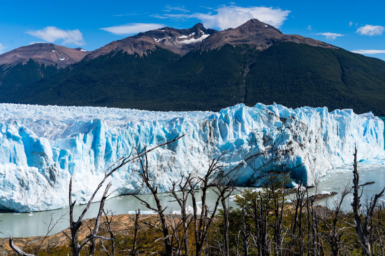 Full Day All Glaciers Tour in Calafate