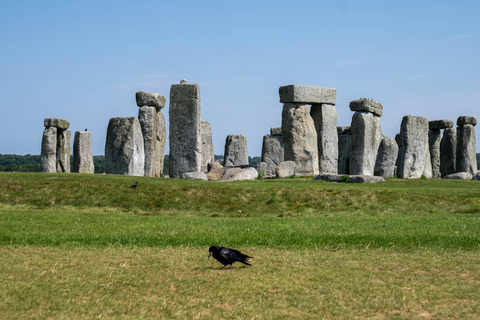 Tour privato di un giorno di lusso a Stonehenge e Bath da Oxford