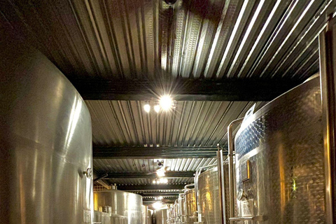 Alyan Family sunset winery Alyan Family