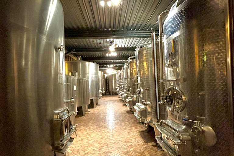 Alyan Family sunset winery Alyan Family