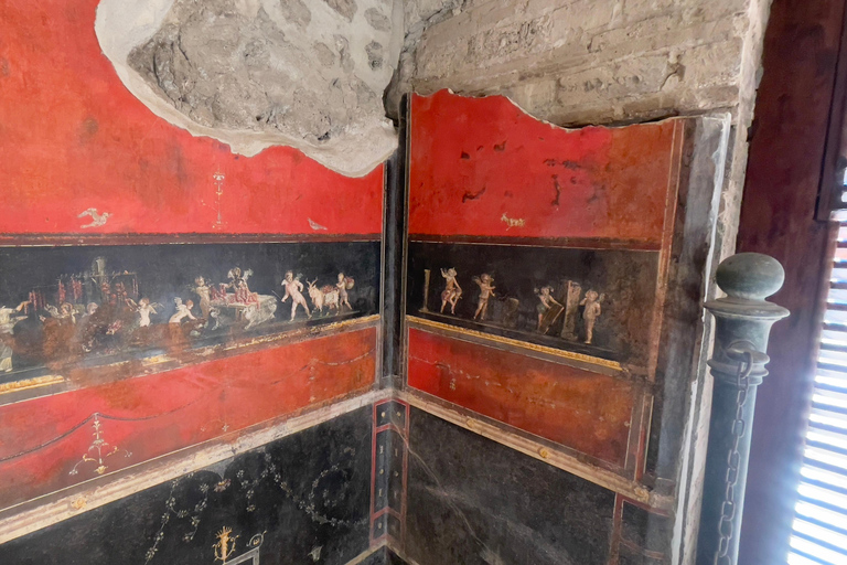 From Amalfi Coast : Pompeii Ruins Guided Tour Small Group From Amalfi Coast: Pompeii Ruins Guided Tour Small Group