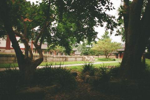 Free day in Jeonju, heart of traditional Korea, with a French guide Free day in Jeonju, the heart of traditional Korea, with a French guide