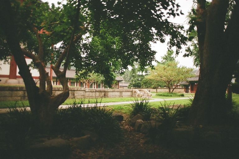 Free day in Jeonju, heart of traditional Korea, with a French guide Free day in Jeonju, the heart of traditional Korea, with a French guide