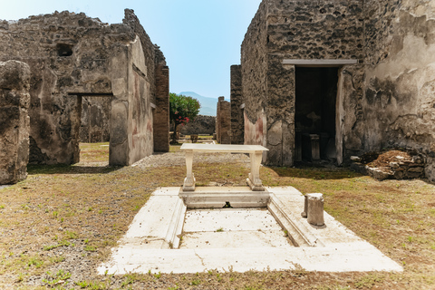 Z Rzymu: Pompeje, Wybrzeże Amalfi i Positano - jednodniowa wycieczkaWycieczka półprywatna z degustacją likieru limoncello