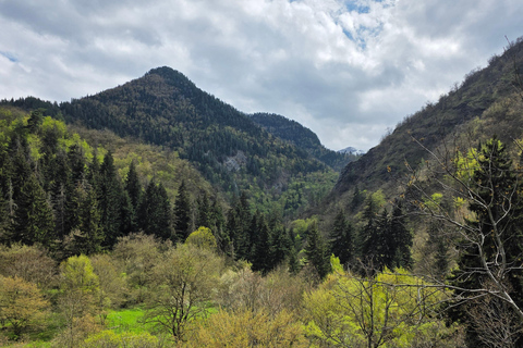 Hiking the Secret Rkoni: Historic Path & Forest Picnic