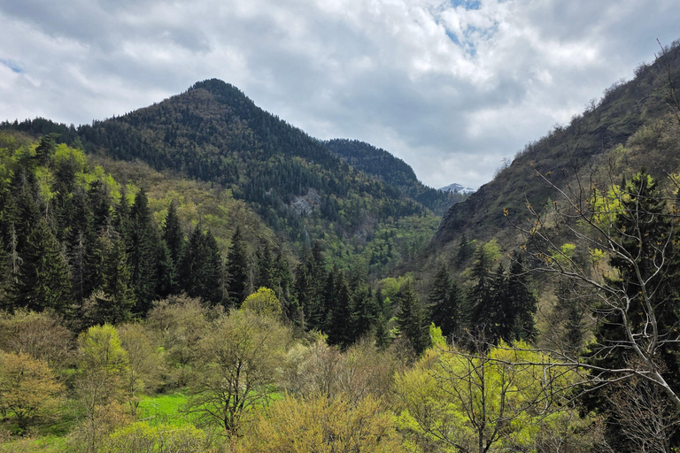 Hiking the Secret Rkoni: Historic Path & Forest Picnic