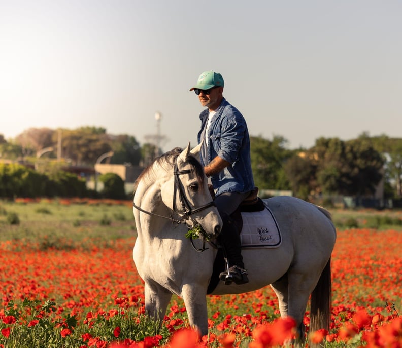 Pferderettungsstation in Rom Pferderettungsstatio...