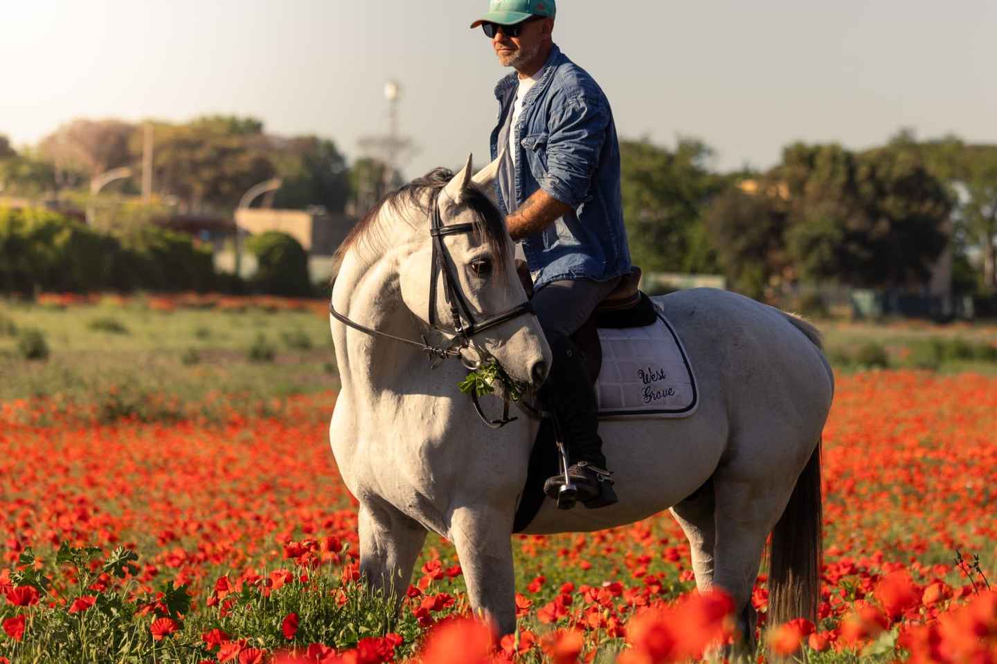 Horse Sanctuary in Rome