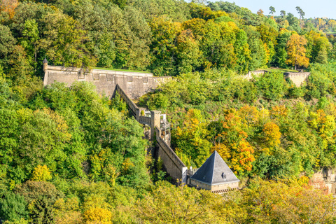 Från Paris: Dagsutflykt till Luxemburg med privat guide