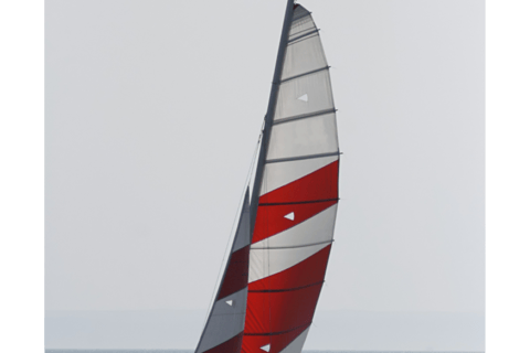 Ocean Springs: lezione di vela in catamaranoOcean Springs: Lezione di vela in catamarano