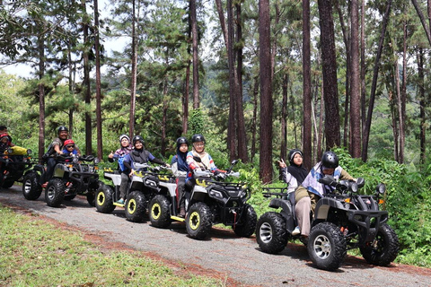 Aventura na selva e nas cascatas de Langkawi