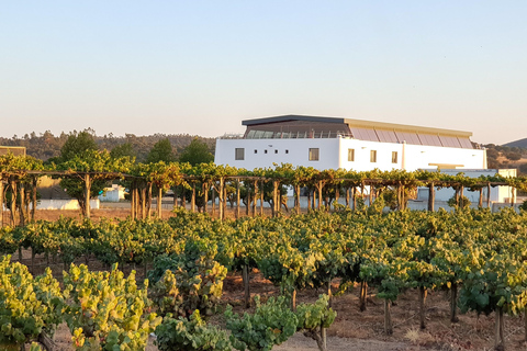 Herdade Canal Caveira - Winery Visit 4 Red's Wines & Tapas