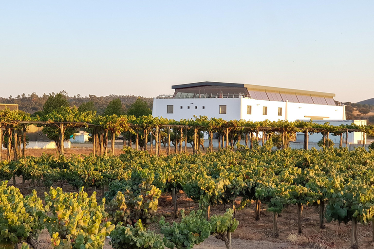 Herdade Canal Caveira - Winery Visit 4 Red's Wines & Tapas