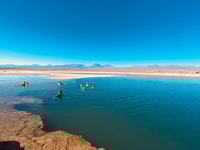 Cejar Lagoon Tour, San Pedro de Atacama - Housity