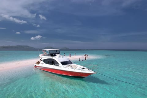 From Labuan Bajo: Komodo National Park Speedboat Day Trip