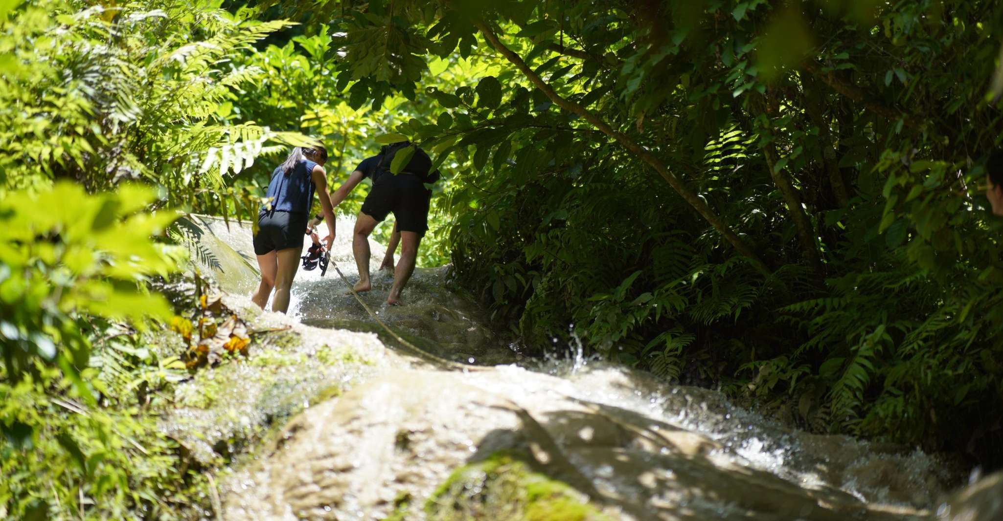 Chiang Mai, Bua Thong Sticky Waterfall and Huge Cave Tour - Housity