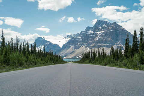 Jasper, Columbia Icefield, Peyto, Athabasca Sunwapta Falls Calgary meet up