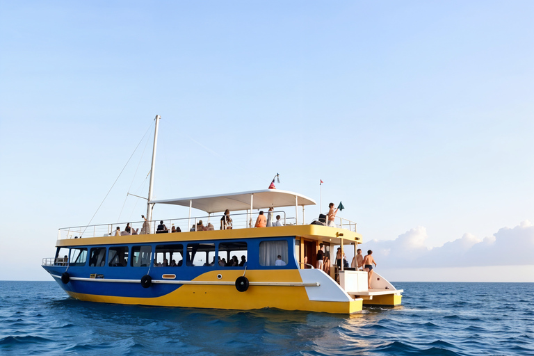 São Miguel, Azores: Whale and Dolphin Watching Tour