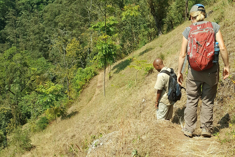 Moshi: Guided Waterfall Hike with Local Stories