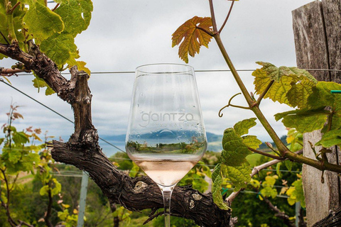 San Sebastian: Private Txakoli bodega (Hondarribia/Getaria)
