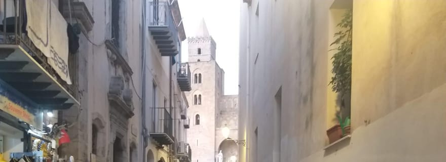 Cefalù : visite du musée Mandralisca avec un guide agréé
