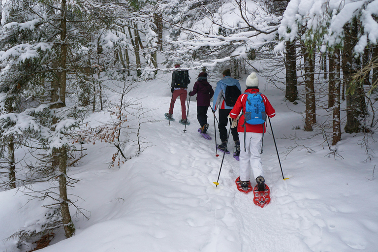 Północny Park Narodowy Tongariro i wędrówki na rakietach śnieżnych