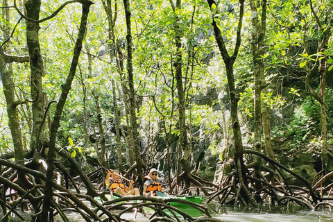 Langkawi : Tour en barco y kayak por los manglares con almuerzo