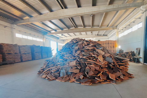 Évora: Prova de vinhos e visita cultural