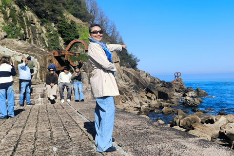 Saint-Sébastien : visite privée au départ de Pampelune