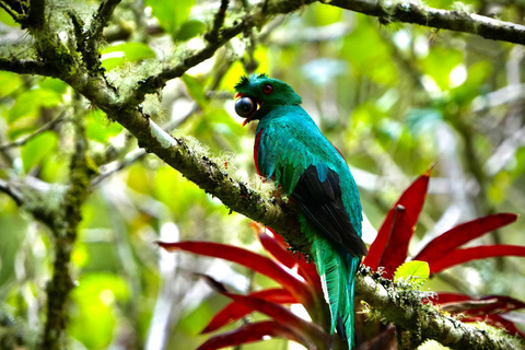 Papallacta: Nature Experience with Hike and Lunch