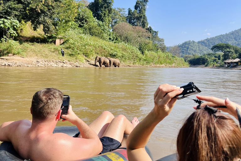 مغامرة شيانغ ماي ليوم كامل: المشي لمسافات طويلة، والتزحلق على الأنابيب، ومشاهدة الفيلةالرحلات، وا