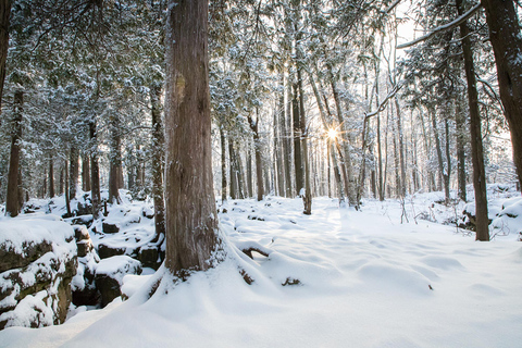 Randonnée hivernale à Rattlesnake Point RV-Motorhome Tour