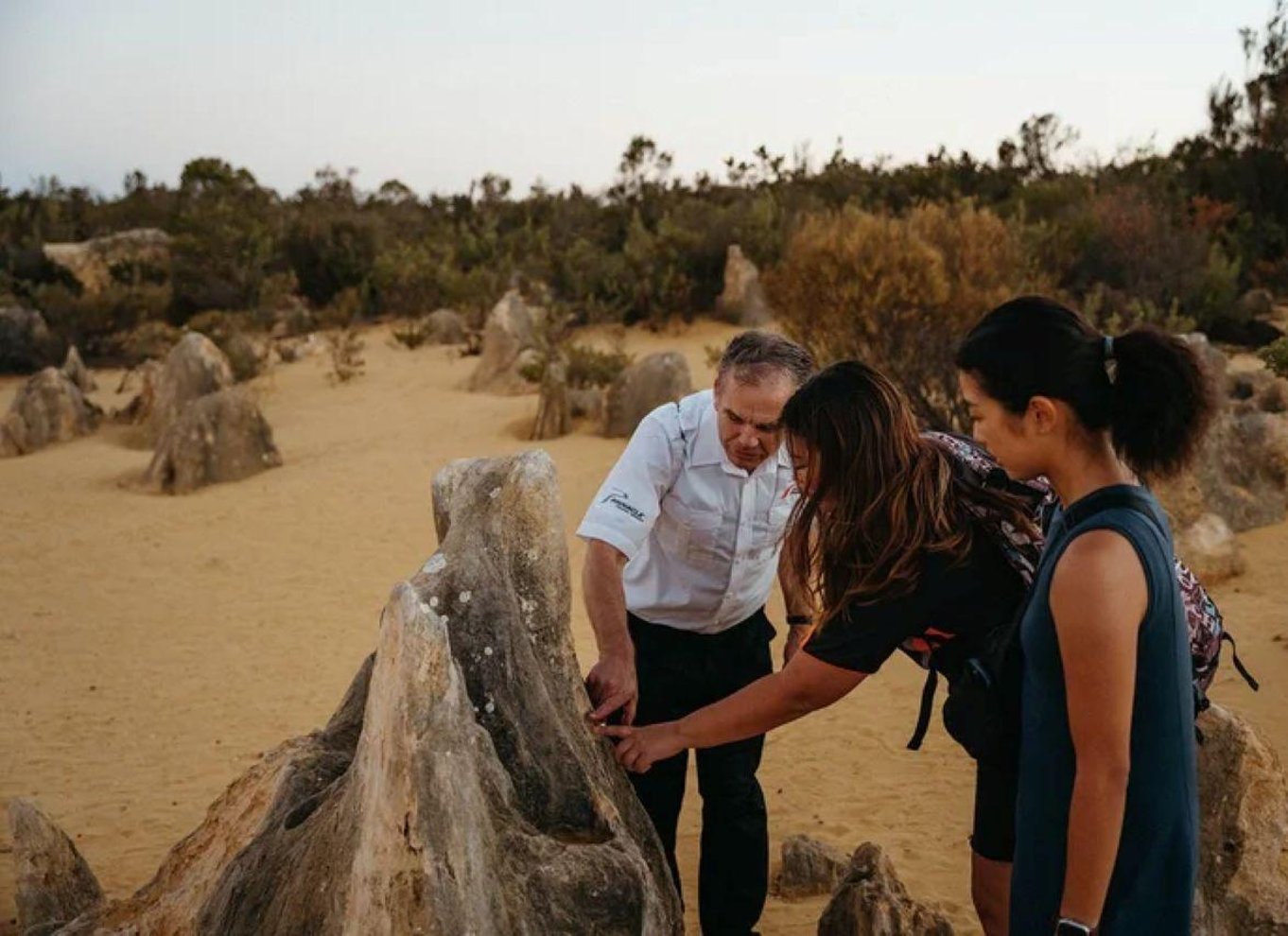 Perth: Solnedgang og stjernekiggeri i Pinnacles Desert med middag