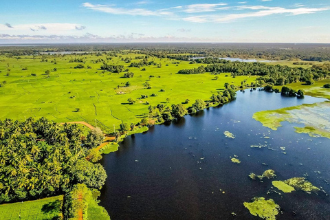 From Negombo To Anuradhapura Transfer with Sightseeing Stops