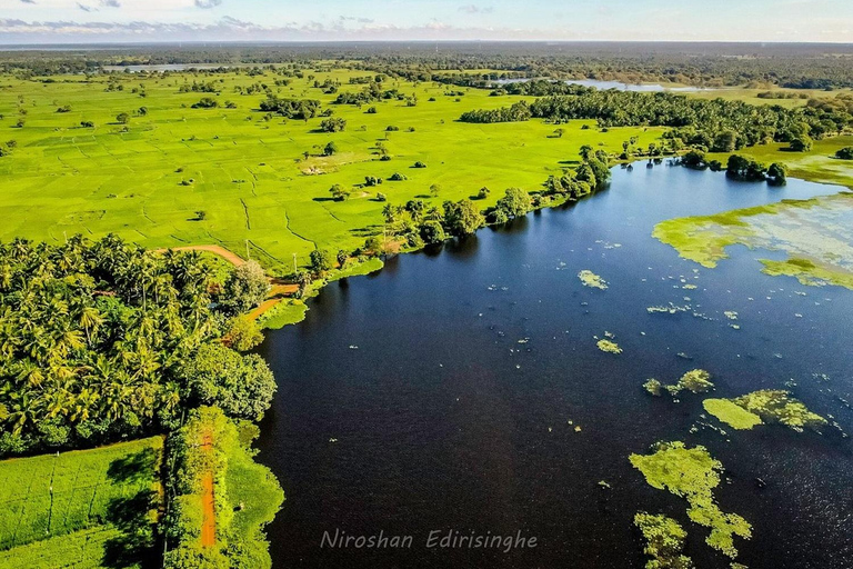 From Negombo To Anuradhapura Transfer with Sightseeing Stops