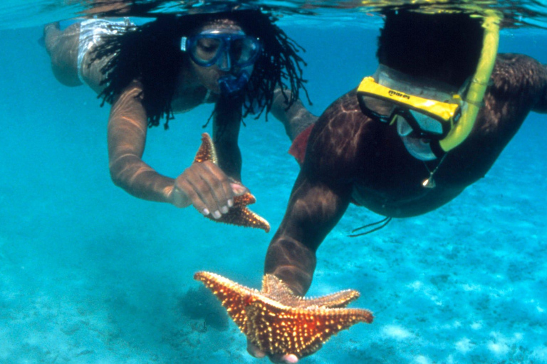 Katamarankryssning och snorkling från Montego Bay